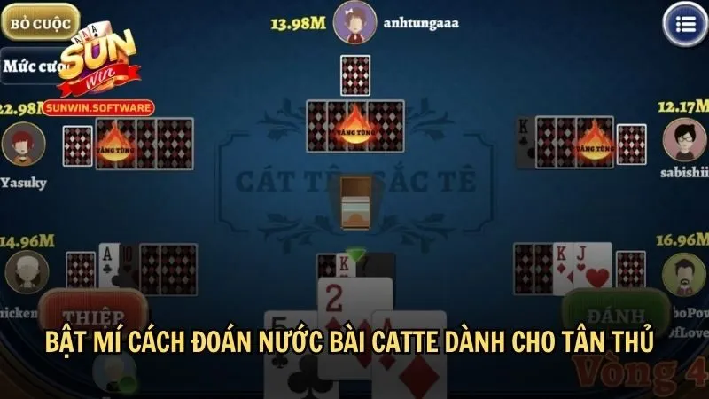 Những cách đoán nước bài Catte hấp dẫn cho tân thủ